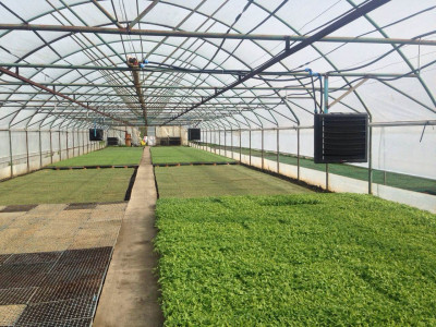 reventon-indirect-gestookte-lucht-verwarmer